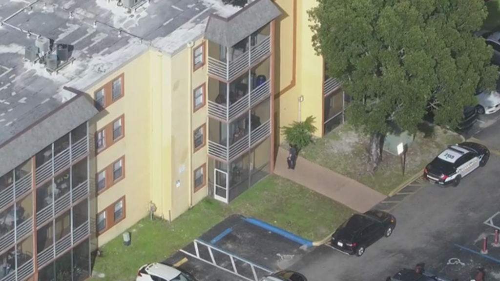 10-year-old girl hospitalized after 8-year-old brother throws knife and hits chest, Lauderhill police say — CBS Miami, Nocatee Health news