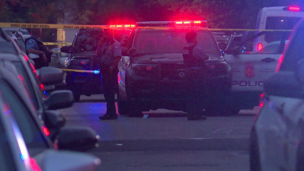 Minneapolis officer fires gun when armed teen carjacker hits squad in stolen car, police say — WCCO / CBS Minnesota, Nocatee Health news