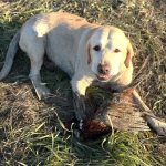 Our Outdoors: A Wet Reminiscence — NewsDakota, Nocatee Sports news
