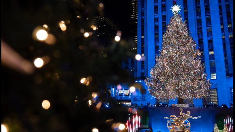 Rockefeller Center’s 2026 Christmas tree has been chosen. Here’s what to know — First Coast News Life JAX, Nocatee Community news