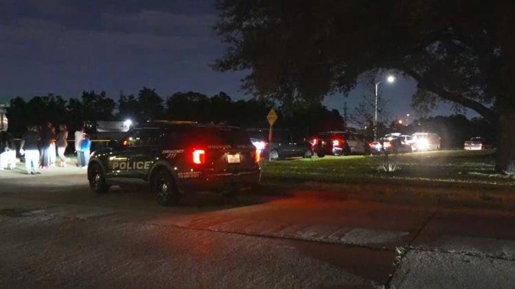 HPD: Man dies after going for swim in Sims Bayou in southeast Houston — KHOU 11 (Houston), Nocatee Sports news