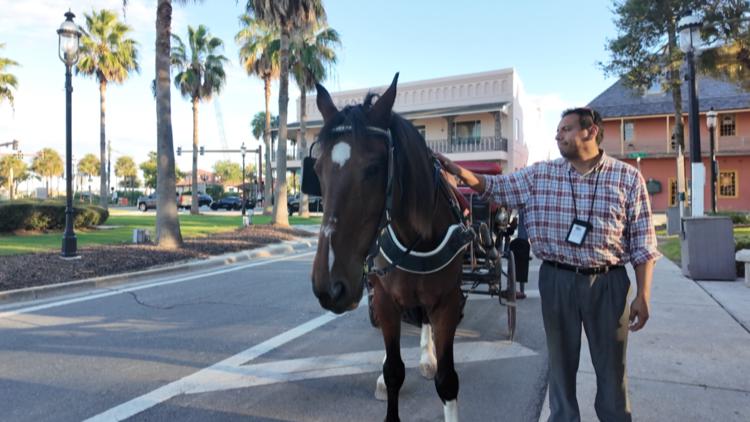 St. Augustine horse-drawn carriages get three-year extension after contentious vote — First Coast News Local