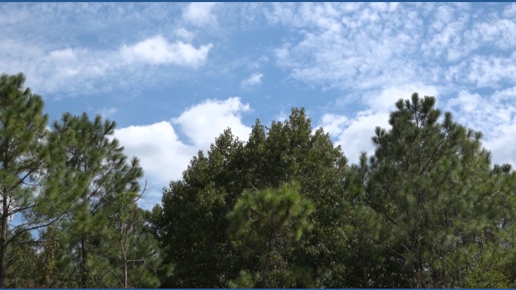 Three more agricultural enclave decisions before the St. Johns County Commission — First Coast News Local, Nocatee Government news
