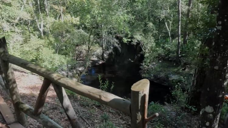 Suspect search underway after woman reports being grabbed in Jennings State Forest — First Coast News Local