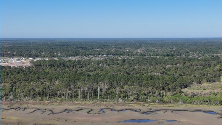 ON THE BALLOT: St. Johns County voters consider creating funding source for buying conservation land — First Coast News Local, Nocatee Community news