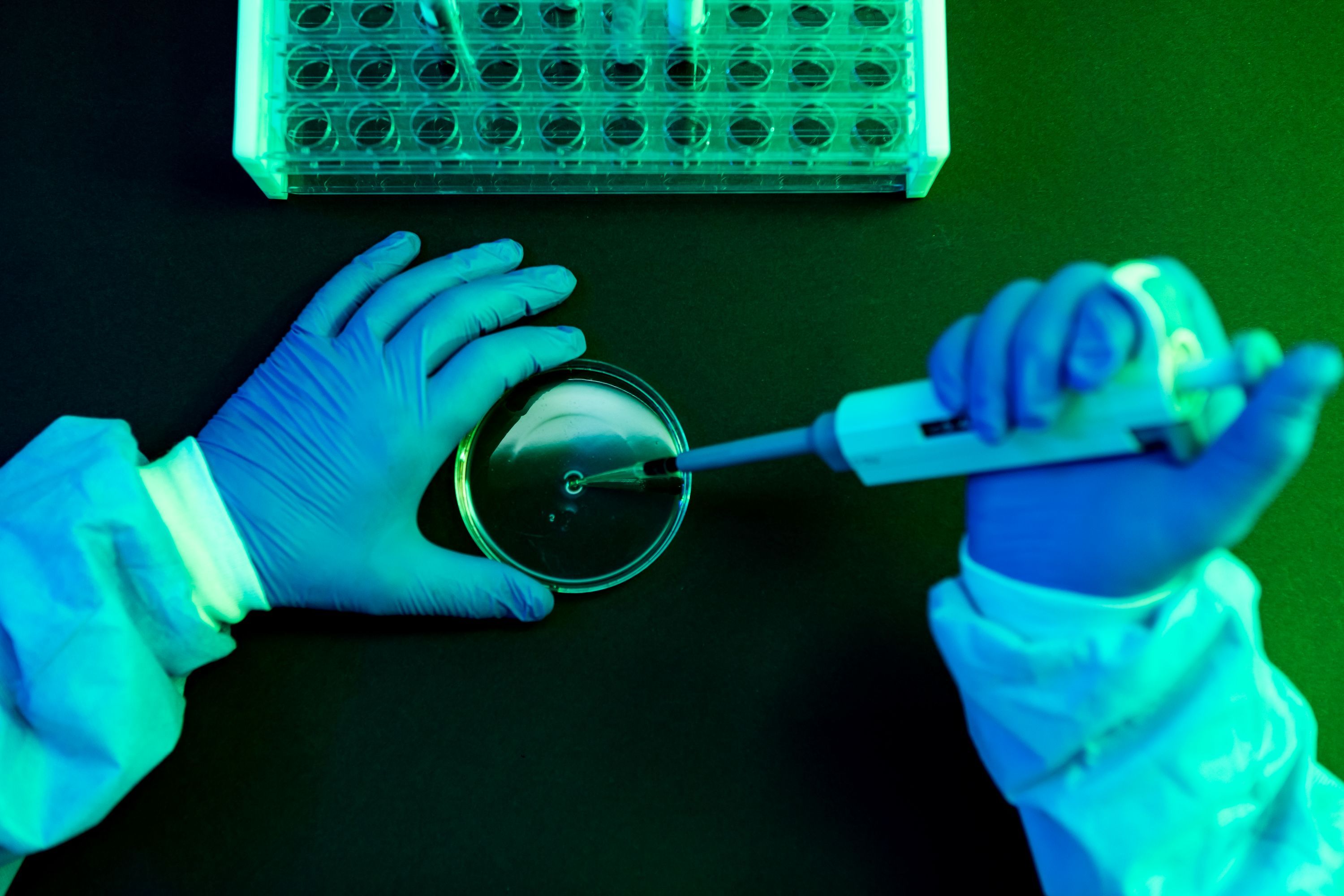 What to Know About Shamonda Virus Following the First Reported Human Infection — Wired, Nocatee Technology news
