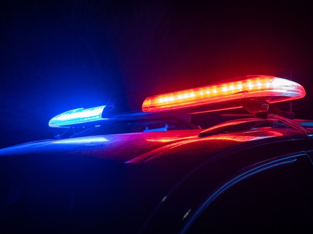 Police Training Taking Place In Coyote Hills, School In Fremont. What To Know — Piedmont Patch, Nocatee Schools news
