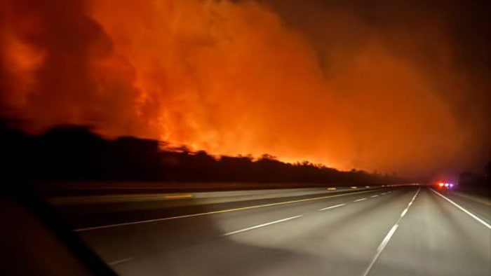 800-acre Camden County wildfire sparked by lightning strike fully contained — News4JAX Local, Nocatee Government news