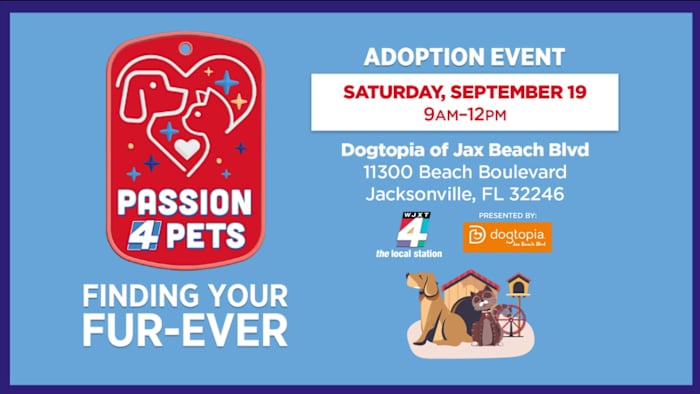 Find your fur-ever friend at Dogtopia of Jacksonville Beach Blvd’s Pet Adoption Event on Saturday, Sept. 19 — News4JAX Local, Nocatee Community news
